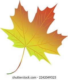 orange gradient maple leaf illustration vector template