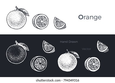 Orange & grapefruit - detailed hand drawn art illustration. black ink on white background & white chalk on dark. isolated vector for design packing juice