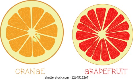 Orange and grapefruit, isolated on white background