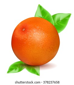 Orange grapefruit with leaf isolated on white background.  Vector illustration.