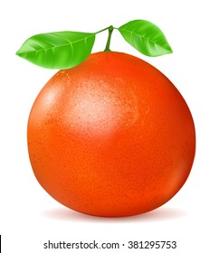 Orange grapefruit with leaf isolated on white background.  Vector illustration.