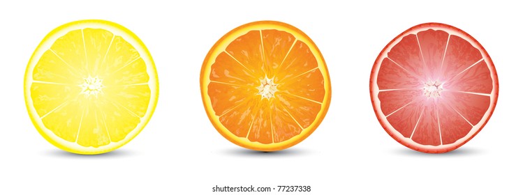 orange, grapefruit and lemon slices
