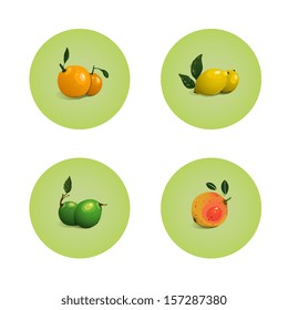 Orange Grapefruit Lime Lemon Citrus Fruits Set. Vector EPS8 layered fruit illustration. Still life icons set.