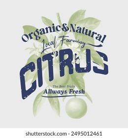 Orange graphic print design, summer fruit design , vintage grunge food fashion orange art, typography slogan text print design, California Malibu, fruit print graphics for t-shirt Design
