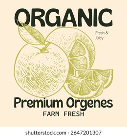 Orange graphic print design, summer fruit design , vintage food fashion orange art, typography  text print design, organic orange fruit print graphics for t-shirt Design, cafe.
