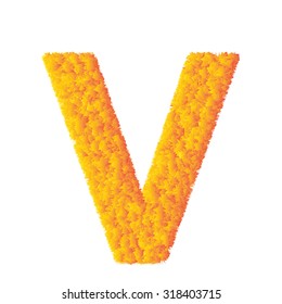 Orange grass alphabet. Vector illustration.