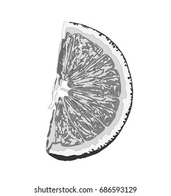 Orange grayscake isolated on white background vector illustration.