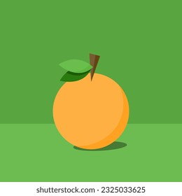 Naranja con fondo verde. Vector para ilustración.