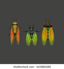Сolorful orange green flat cicadas vector set