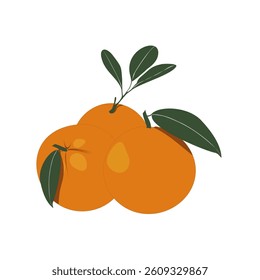 Orange with green leaf in flat style. Orange slice isolated on white background. . Vegetarian food. Vector illustration