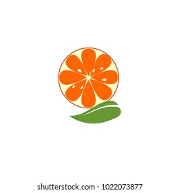 Orange with green leaf on white background.Slices with kernels.Vector