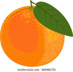 Orange with green leaf on white background