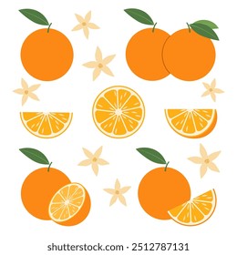 Orange with green leaves in flat style. Citrus slice isolated on white background. Tropical fruits. Raw and vegetarian food. Vector illustration.