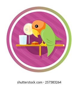 Orange green parrot with a mirror, water and food isolated on white background. Concept in cartoon style