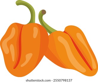 Ilustração vegetal laranja Habanero Pepper isolada no fundo branco