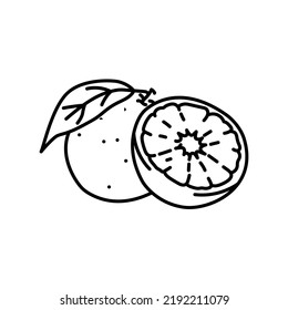 Orange and half color line icon. Pictogram for web page, mobile app, promo.