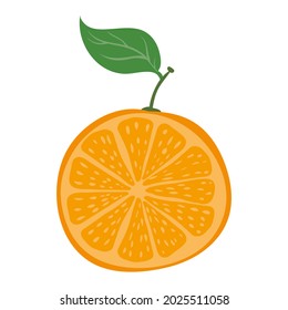 Orange half cut, natural healthy organic nutrition product, citrus. Vector doodle cartoon flat trendy illustration hand drawn isolated