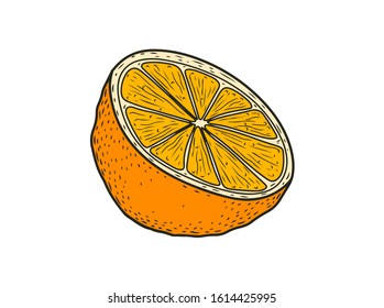 Orange half fruit hand drawn sketch vector illustration set. Orange vegan ingredient collection isolated on white background. Orange citrus fruits.