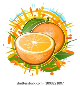Orange and half a fruit. Isolated vector on white background. Summer citrus fruits in splashes of juice, sunlight, foliage and raindrops. Label, logo. Round.