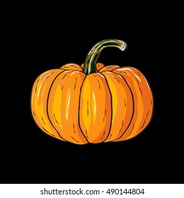 Orange halloween cartoon  pumpkin vector illustration. Harvest symbol season decoration. Vector illustration of pumpkin isolated on black background.