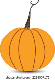 Orange Halloween pumpkin isolated on white background.