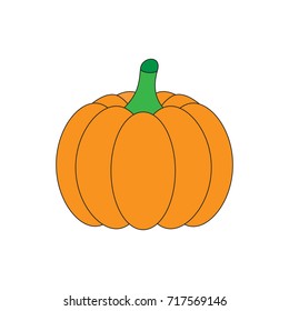 Orange halloween pumpkin, vector illustration. Pumpkin vegetable isolated on white background. Graphic print or icon.
