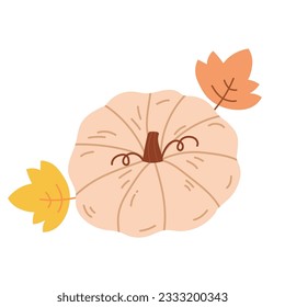 Orange hand drawing pumpkin vegetable and leaves
