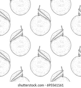 Orange. Hand drawn black and white sketch as seamless pattern. Vector illustration
