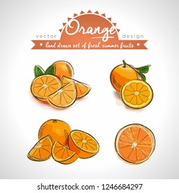 Orange. Hand drawn collection of vector sketch detailed fresh fruits. Isolated	
