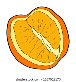 Orange. Hand drawn doodle icon. Colorful vector illustration isolated on white background. Decoration for greeting cards, posters, patches, prints for clothes, emblems.
