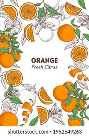 Orange hand drawn frame. Vector illustration. Orange sketch for package design, brochure illustration. Black and white design. Citrus orange frame illustration. Can used for packaging design.