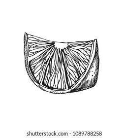 Orange. Hand drawn fruit isolated on white. Can be used for vegan products, brochures, banner, restaurant menu, farmers market and organic food store