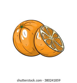 Orange hand drawn illustration isolated on a white background - stock vector