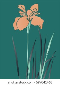 Orange hand drawn iris flower on green background.Vector illustration