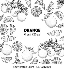 Orange hand drawn package design. Vector illustration. Orange sketch for menu design, brochure illustration. Black and white design. Citrus orange frame illustration. Can used for packaging design.