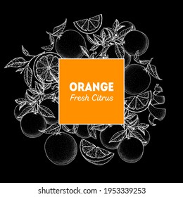 Orange hand drawn package design. Vector illustration. Orange sketch for menu design, brochure illustration. Black and white design. Citrus orange frame illustration. Can used for packaging design.