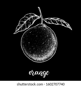 Orange hand drawn sketch, vector illustration.
