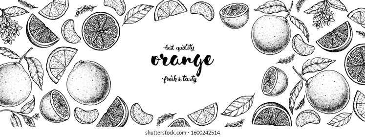 Orange hand drawn vector illustration. Orange sketch for design. Black and white style. Citrus orange pattern illustration. Orange packaging design.