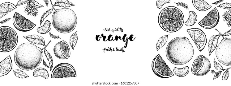 Orange hand drawn vector illustration. Orange sketch for design. Black and white style. Citrus orange pattern illustration. Orange vintage packaging design.