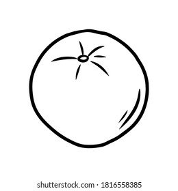 Orange. Handgezeichnete Vektorgrafik im Doodle-Stil, einzeln auf weißem Hintergrund.