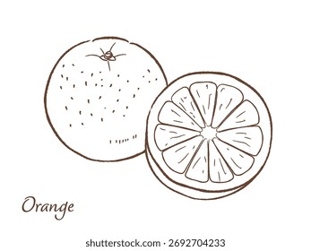 Ilustração de vetor desenhada à mão laranja