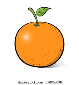 Orange, a hand drawn vector illustration of an orange, the sketch, main colors, and the shadows are on separate groups for easy editing.
