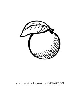 Icono de Vector de comida dibujado a mano naranja