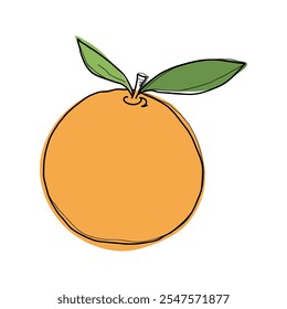 Laranja, desenhado à mão com contorno, folhas, isolado em um fundo branco, design plano, vetor. Um elemento colorido brilhante, suculento, fresco, frutas cítricas doces para decoração, design, rótulos, ícones.