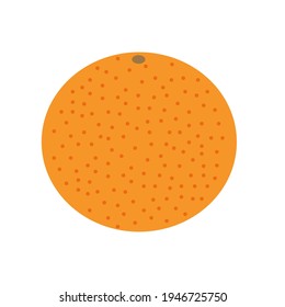 Orange is a healthy natural fruit on an isolated background. Vector illustration.
