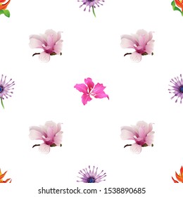 Orange Heliconia. Purple Osteospermum Daisybush. Pink Magnolia. Pink Bauhinia Purpurea. Vector illustration. Seamless background pattern. Floral botanical flower. Wild leaf wildflower isolated.
