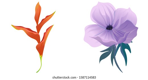 Orange Heliconia. Violet Anemone. Vector illustration. Isolated illustration element. Floral botanical flower. Wild leaf wildflower isolated. Exotic tropical hawaiian jungle.