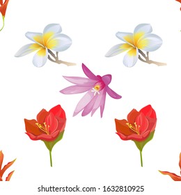 Orange Heliconia. White Plumeria. Red Amaryllis. Purple Hatiora. Vector illustration. Seamless background pattern. Floral botanical flower. Wild leaf wildflower isolated. Exotic tropical hawaiian.