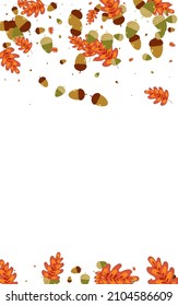 Orange Herb Background White Vector. Acorn Drawn Illustration. Brown Leaves. Elm Set. Red Leaf Wallpaper.
