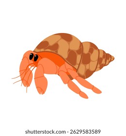 Orange hermit crab. Sea shell. Crawfish in a seashell. Sea animal. Beach.
